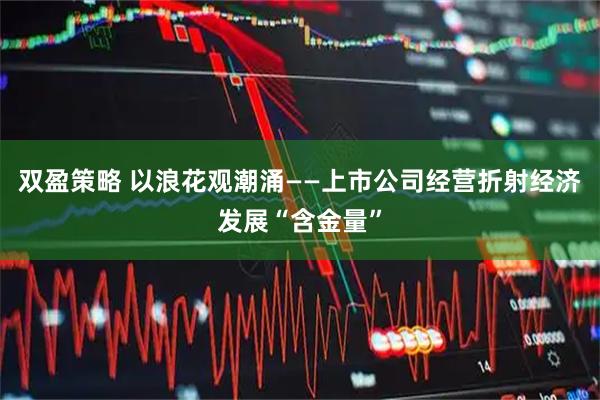 双盈策略 以浪花观潮涌——上市公司经营折射经济发展“含金量”